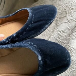 Lucky Brand Women's Royal Blue Velvet Ballet Flats